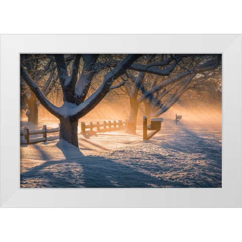 After Snow Storm White Modern Wood Framed Art Print by Xu, Mei
