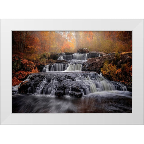 Fall of Fall White Modern Wood Framed Art Print by Wei, Shi aamp