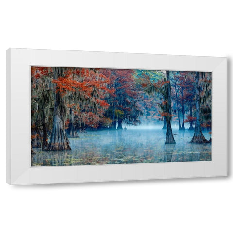 Caddo Lake White Modern Wood Framed Art Print by Bian, James