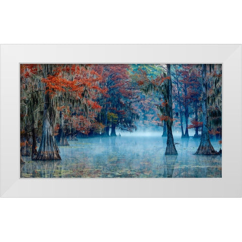 Caddo Lake White Modern Wood Framed Art Print by Bian, James
