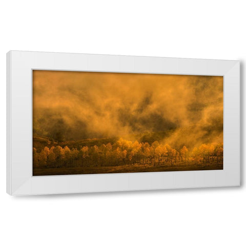 Garden of Eden White Modern Wood Framed Art Print by Fan, John