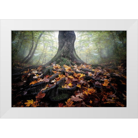 Autumn White Modern Wood Framed Art Print by Chen, Cicy