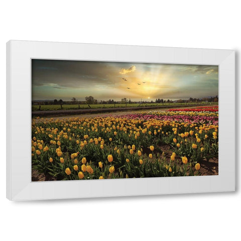 Natures Bounty White Modern Wood Framed Art Print by Kulkarni, Sunil