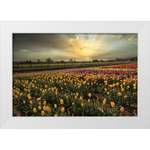 Natures Bounty White Modern Wood Framed Art Print by Kulkarni, Sunil