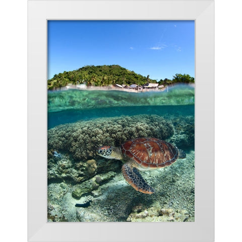 Along shore White Modern Wood Framed Art Print by Narchuk, Andrey