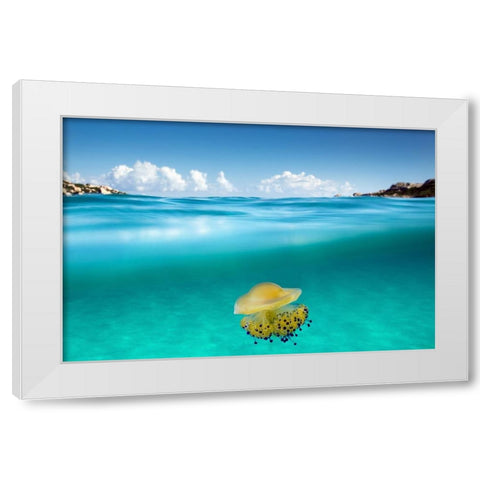 The Dangerous Encounter White Modern Wood Framed Art Print by Sysa Moiola, Roberto