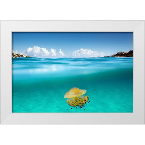 The Dangerous Encounter White Modern Wood Framed Art Print by Sysa Moiola, Roberto