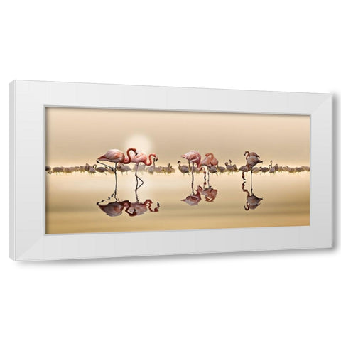 FLAMINGOS White Modern Wood Framed Art Print by OSMAN, NASSER