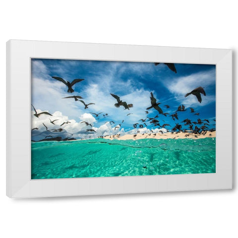 Ocean bird White Modern Wood Framed Art Print by Gabriel, Barathieu