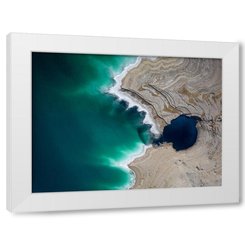 Big Fish White Modern Wood Framed Art Print by Eliash, Tomer