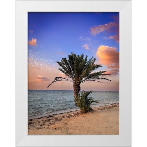 Palm beach White Modern Wood Framed Art Print by G Alfidi, Saleem