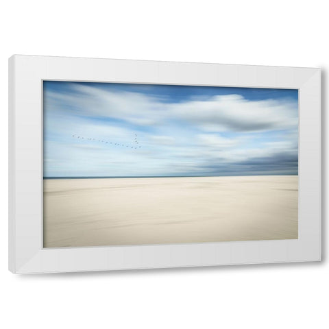 Birds at the seaside White Modern Wood Framed Art Print by Reichelt, Dieter