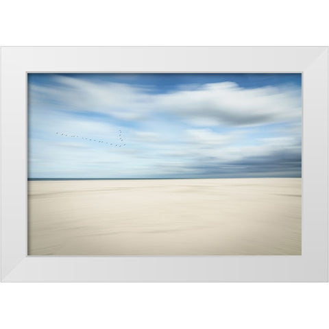 Birds at the seaside White Modern Wood Framed Art Print by Reichelt, Dieter