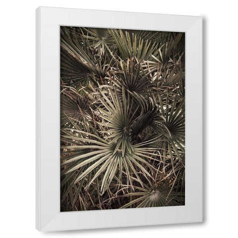 Palmblad 003 White Modern Wood Framed Art Print by Artographie Studio