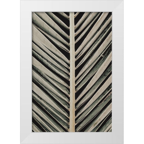 Palmblad 005 White Modern Wood Framed Art Print by Artographie Studio