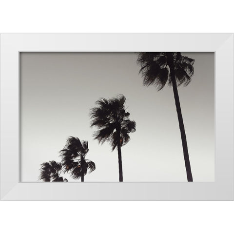 Palm 004 White Modern Wood Framed Art Print by Artographie Studio
