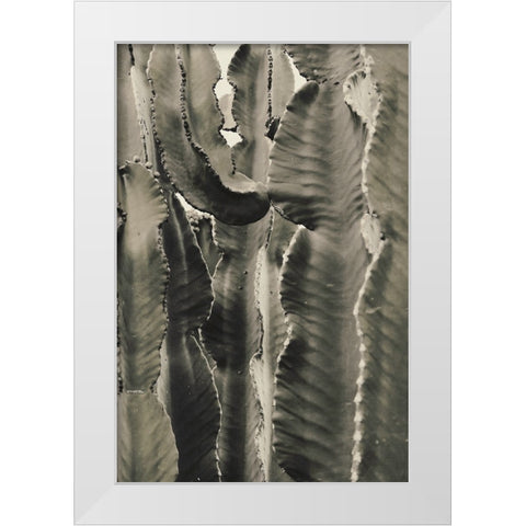 Cactus 002 White Modern Wood Framed Art Print by Artographie Studio