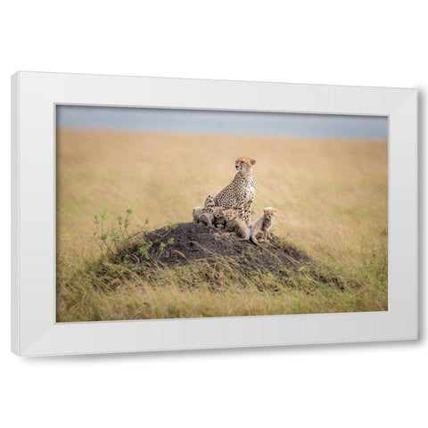 Regal Protector White Modern Wood Framed Art Print by Taylor, Ted