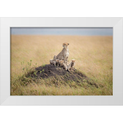 Regal Protector White Modern Wood Framed Art Print by Taylor, Ted