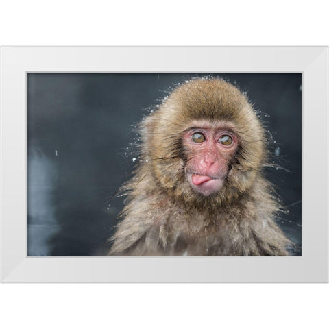 Untitled No 5807 White Modern Wood Framed Art Print by Marumoto, Takeshi