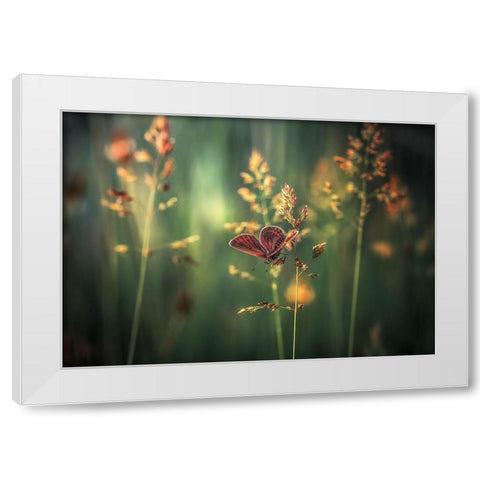 Last Light White Modern Wood Framed Art Print by Vinogradof, Florentin