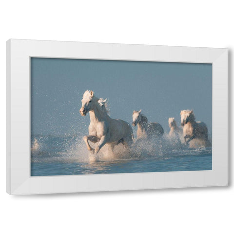 Angels of Camargue White Modern Wood Framed Art Print by Anton, Rostovskiy