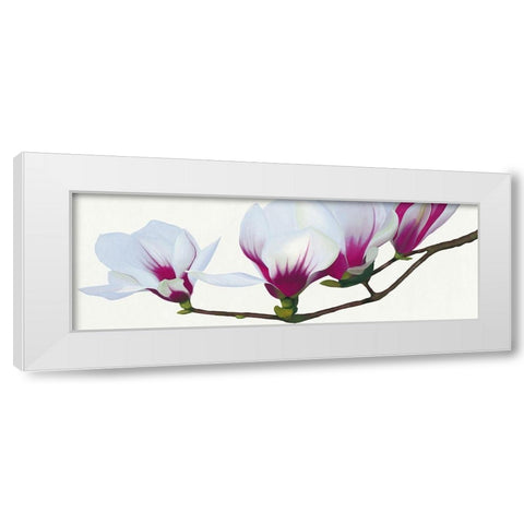 Magnolia White Modern Wood Framed Art Print by Andrew, Stephanie