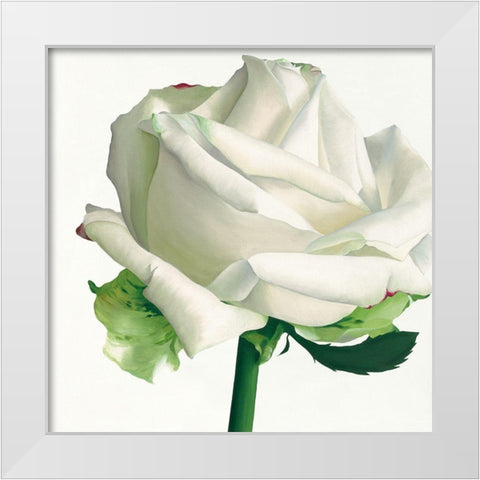 White Rose I White Modern Wood Framed Art Print by Andrew, Stephanie