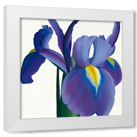 Iris White Modern Wood Framed Art Print by Andrew, Stephanie