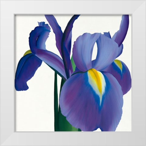 Iris White Modern Wood Framed Art Print by Andrew, Stephanie