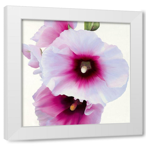 White Hollyhock I White Modern Wood Framed Art Print by Andrew, Stephanie