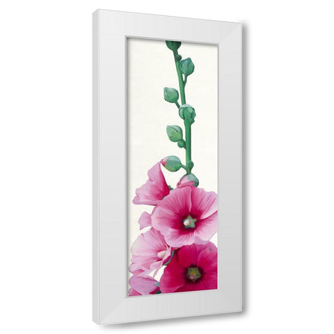 Pink Hollyhock II White Modern Wood Framed Art Print by Andrew, Stephanie