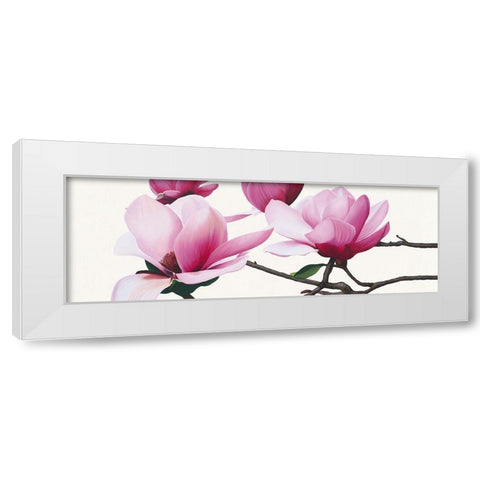 Apollo I (Magnolia) White Modern Wood Framed Art Print by Andrew, Stephanie
