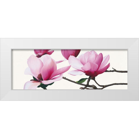 Apollo I (Magnolia) White Modern Wood Framed Art Print by Andrew, Stephanie