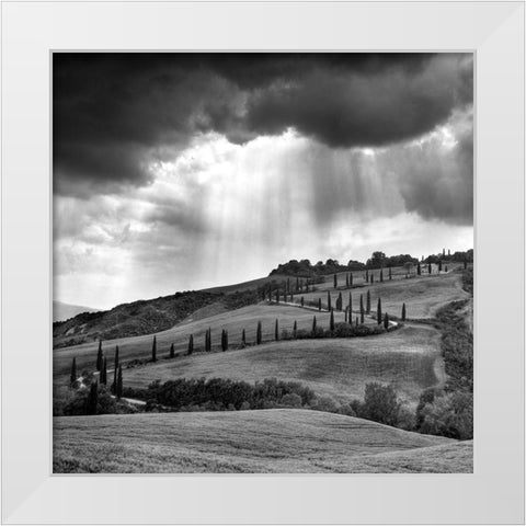 Hills of Tuscany White Modern Wood Framed Art Print by Duczynski, Maciej