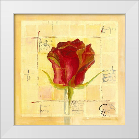 Oigas III White Modern Wood Framed Art Print by Leys, Gemma