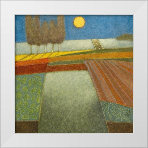 Evening Shadows II White Modern Wood Framed Art Print by van Hoek, Rob