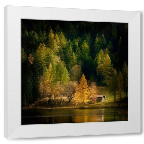 Nature Art Color I White Modern Wood Framed Art Print by Steger, Uwe