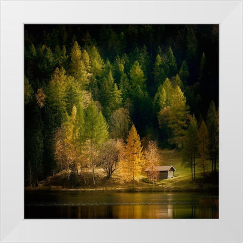 Nature Art Color I White Modern Wood Framed Art Print by Steger, Uwe