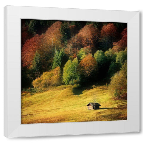 Nature Art Color II White Modern Wood Framed Art Print by Steger, Uwe