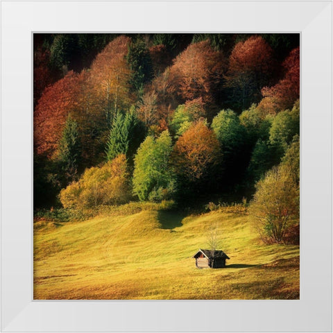 Nature Art Color II White Modern Wood Framed Art Print by Steger, Uwe