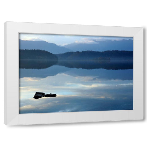 Nature Art Color IV White Modern Wood Framed Art Print by Steger, Uwe