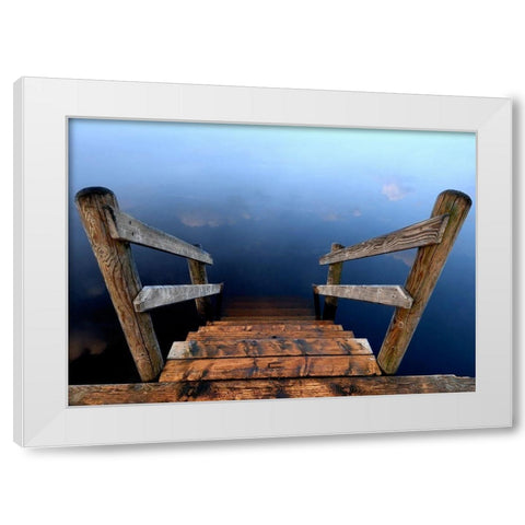 Nature Art Color VI White Modern Wood Framed Art Print by Steger, Uwe