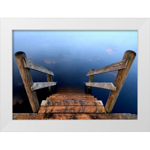 Nature Art Color VI White Modern Wood Framed Art Print by Steger, Uwe