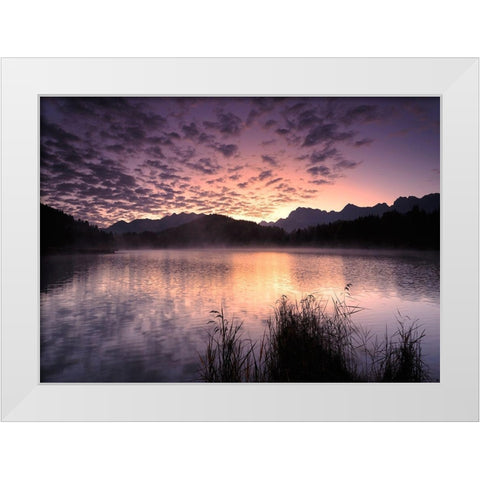 Nature Art Color VIII White Modern Wood Framed Art Print by Steger, Uwe