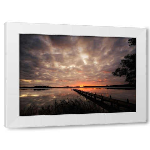 Nature Art Color IX White Modern Wood Framed Art Print by Steger, Uwe