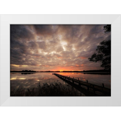 Nature Art Color IX White Modern Wood Framed Art Print by Steger, Uwe