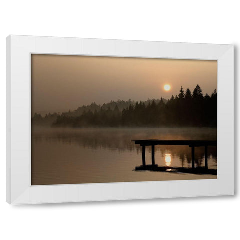 Nature Art Color XI White Modern Wood Framed Art Print by Steger, Uwe