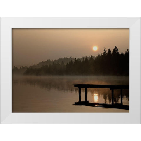 Nature Art Color XI White Modern Wood Framed Art Print by Steger, Uwe