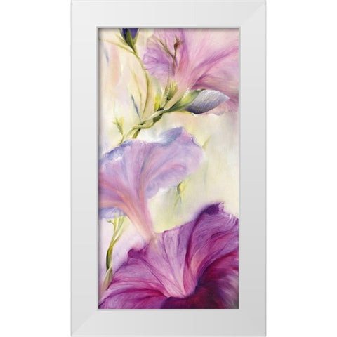 Prunkwinden White Modern Wood Framed Art Print by Schmucker, Annette